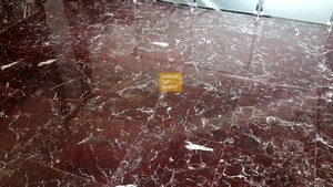Elazig Cherry Marble